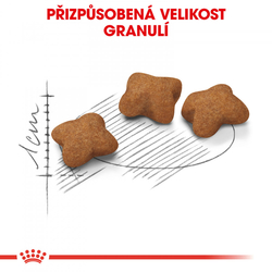 Kitten Sterilised granule pro kastrovaná koťata Royal Canin 400g 