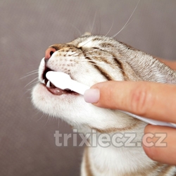 Sada dentální hygieny pro kočky (pasta se sýrovou příchutí 50g, dva zubní kartáčky)