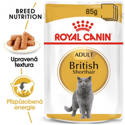 British Shorthair Gravy kapsička pro britské krátkosrsté kočky ve šťávě 85g Royal Canin