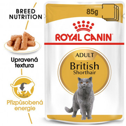 British Shorthair Gravy kapsička pro britské krátkosrsté kočky ve šťávě 85g Royal Canin