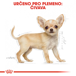 Chihuahua Puppy granule pro štěně čivavy Royal Canin  500gr 