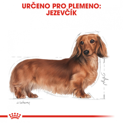 Dachshund Adult granule pro dospělého jezevčíka Royal Canin 500g 