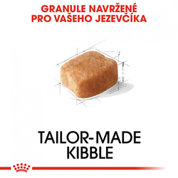 Dachshund Adult granule pro dospělého jezevčíka Royal Canin 500g 