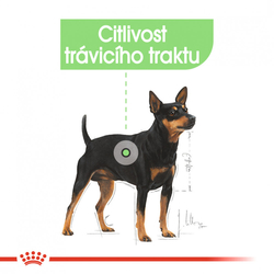 Digestive Care Dog Loaf kapsička s paštikou pro psy s citlivým trávením