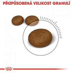 Hair and Skin Care granule pro kočky pro zdravou srst Royal Canin 400g 