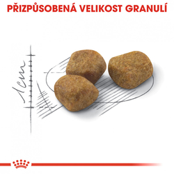 Indoor 7+ granule pro stárnoucí kočky žijící uvnitř 400g