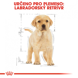 Labrador Puppy granule pro štěně labradora 12kg