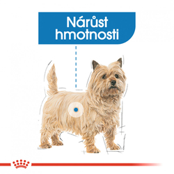 Light Weight Care Dog Loaf dietní kapsička s paštikou pro psy 85g Royal Canin