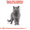 British Shorthair Gravy kapsička pro britské krátkosrsté kočky ve šťávě 85g Royal Canin