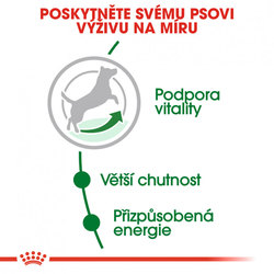 Mini Adult 8+ granule pro stárnoucí malé psy Royal Canin 800gr 