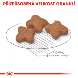 Mini Adult 8+ granule pro stárnoucí malé psy Royal Canin 800gr 
