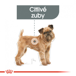 Mini Dental Care granule pro psy snižující tvorbu zubního kamene Royal Canin 1kg 