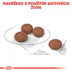 Mini Digestive Care granule pro malé psy s citlivým trávením Royal Canin 1kg 