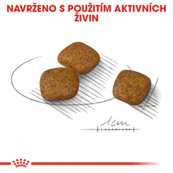 Mini Urinary Care granule pro psy s ledvinovými problémy Royal Canin 1kg 