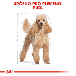 Poodle Adult granule pro dospělého pudla Royal Canin 500gr