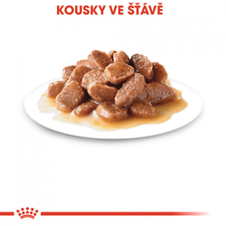 Royal Canin Sterilised Gravy kapsička pro kastrované kočky ve šťávě 85g