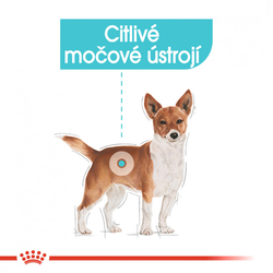 Urinary Care Dog Loaf kapsička s paštikou pro psy s ledvinovými problémy 85g Royal Canin