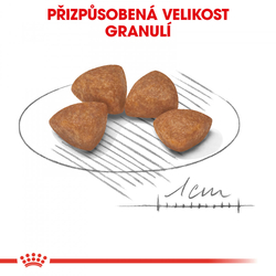 X-Small Puppy granule pro trpasličí štěňata Royal Canin 500gr 