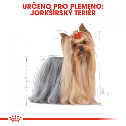 Royal Canin Yorkshire kapsička s paštikou 85g 