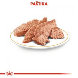 Royal Canin Yorkshire kapsička s paštikou 85g 